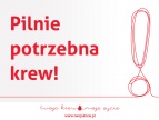 Pilnie potrzebna krew