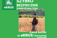 pole zboża na nim uśmiechnięta kobieta w spodniach, koszuli w kratę i czapeczce z laptopem