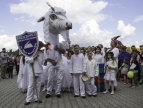 Parada najpiękniejszych kóz III Dobczyckiego Wypasu 2015