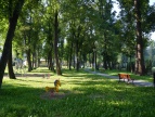 park miejski